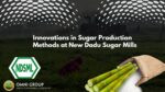 Innovations in Sugar Production Methods at New Dadu Sugar Mills